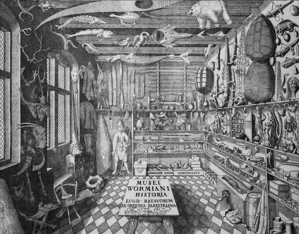 Кабинет редкостей Оле Ворма
(из каталога «Musei Wormiani Historia», 1655) | Антикмедиа